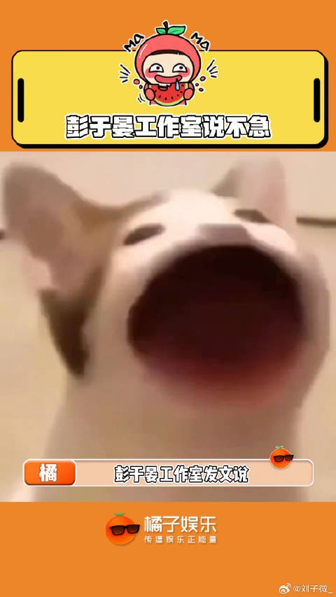幸福的衡量标准见仁见智,大家适度调侃哈胡歌