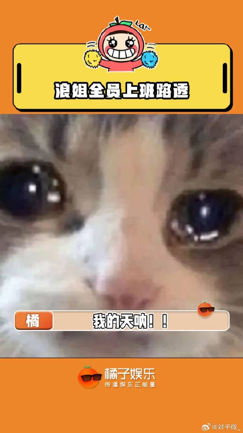 养眼时间!张予曦 戚薇 微博VC计划
