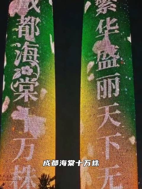  被爱滋养的少年永远温柔｜丁禹兮演唱会820开票求别抢票