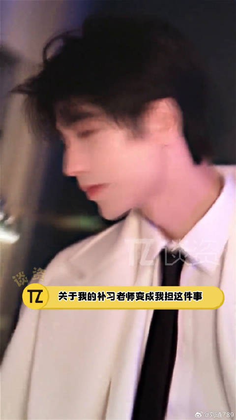关于我的补习老师变成了我担这件事！追星张凌赫从我的补习老师到我担