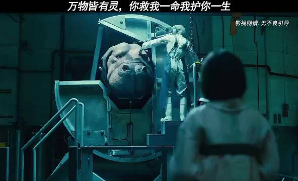 万物皆有灵，你救我一命我护你一生
