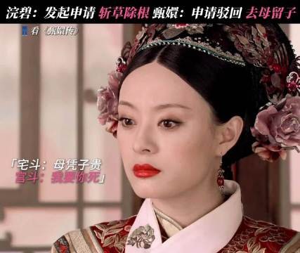 宅斗：母凭子贵 宫斗：步步杀机 甄嬛传