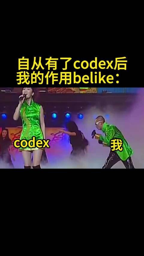 自从有了Codex我的作用belike