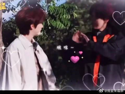 爱是望向你的瞬间