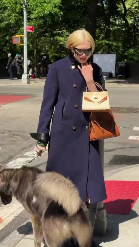 Alex Consani拍摄Tory Burch 2026秋冬广告大片幕后花絮，狗对着她撒尿