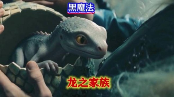 黑魔法孵化出巨龙，龙之家族，伊蒙德
