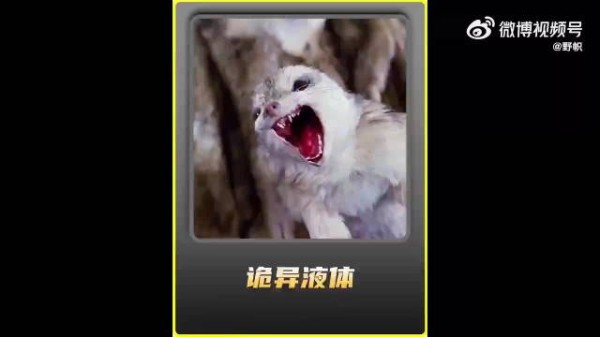 这个神秘的液体可以让万物复活