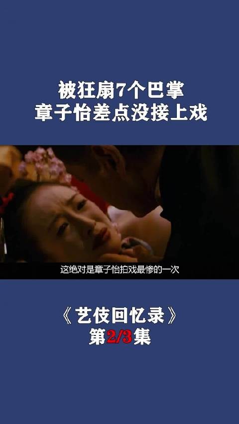 巩俐艺伎回忆录配角秒杀主角章子怡