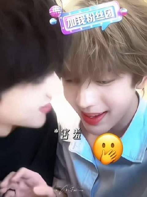 情绪沉甸甸的,却藏着甜味暗涌磕糖