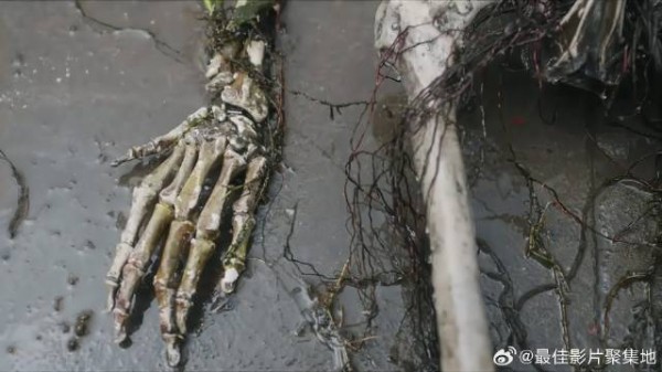 莲塘里捞出尸骨 上面竟有六根指骨，李莲花秒懂死者身份