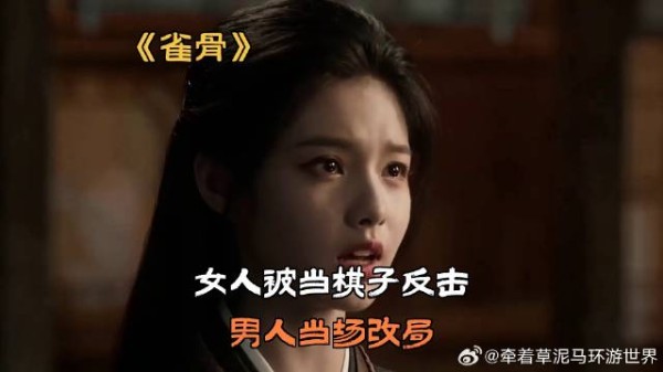 《雀骨》女人被当棋子反击,男人当场改局
