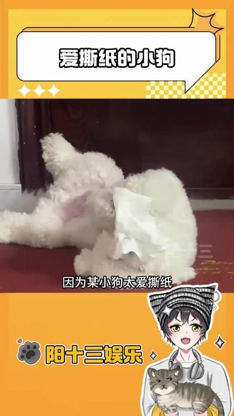 小狗：这纸有力气！