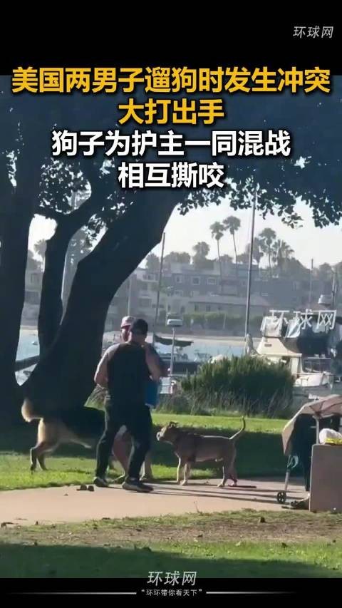 美国两男子大打出手各自狗一同混战