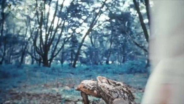 白玉堂勇闯江湖記‖《雨霖铃》第四集