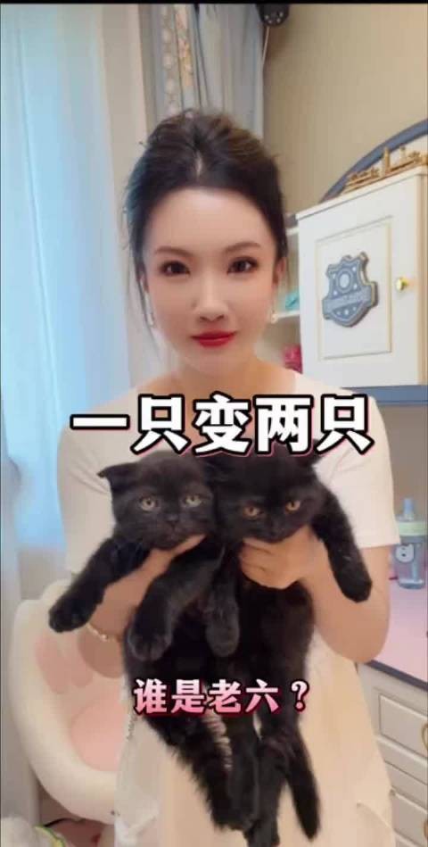 猜猜哪只是老六?哈哈哈哈哈哈