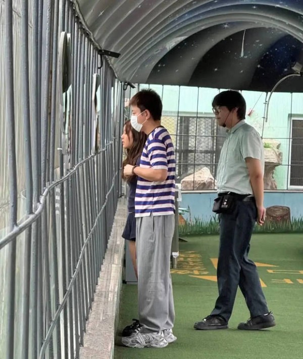 贾乃亮和甜馨一起在东北虎林园看老虎。