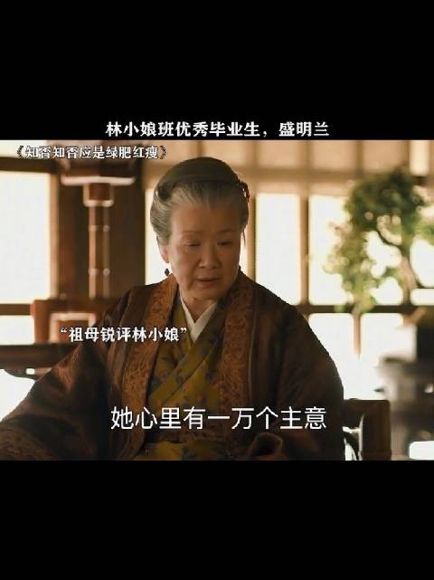 真正的去其糟粕,取其精华,墨兰只学到皮毛皮毛