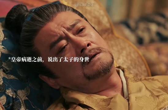 原来萧华雍不是皇帝的孩子,信王为了给汐和铺路,以身入局, 百花杀
