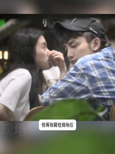 蒋龙、张莉佳恋情