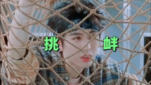 张凌赫网速超快，脱口而出铁拳局