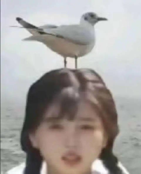 神女一是真女神