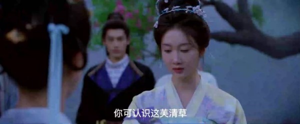 孟廷辉英寡联手灭毒丸反被困,22集预告悬念待破