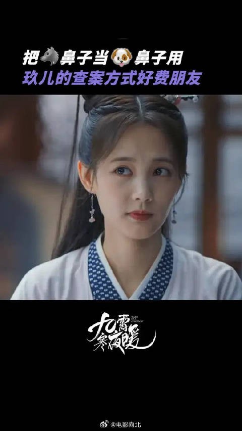 玖儿案子办的挺好，就是有点儿费朋友了吧