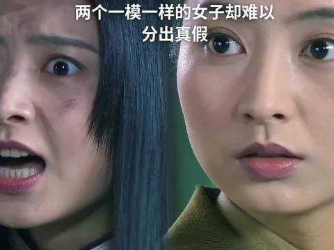 双胞胎女子中藏女间谍 母亲抚养20年无法辨认