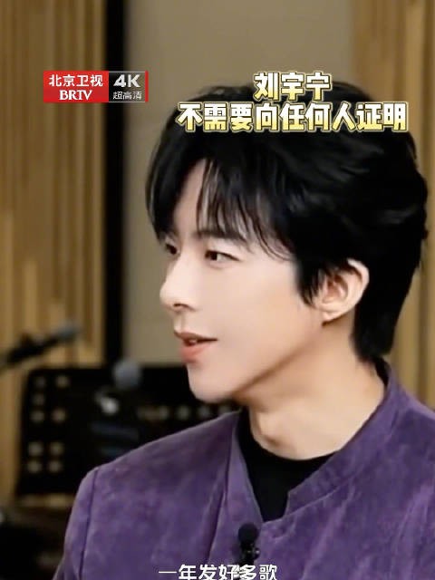 刘宇宁说不必向所有人证明自己