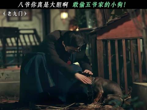 八爷你真是大胆啊,敢偷五爷家的小狗!张启山 剧集