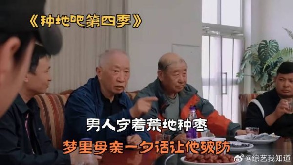 男人守着荒地种枣，梦里母亲一句话让他破防