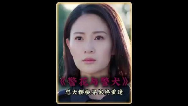 警犬樱桃带伤归来,终与主人团聚,那刻感动全场泪目
