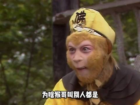 太白金星：猴子还得我来宠！
