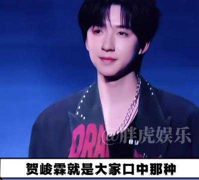 贺峻霖做什么都能闪闪发光,干什么都会成功!