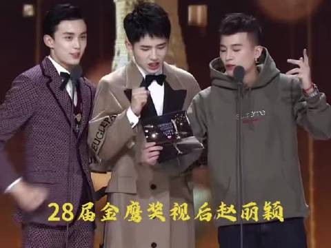 赵丽颖粉丝追星深耕文字世界拿奖