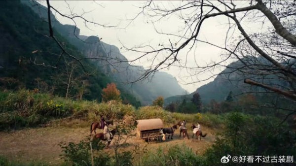 危机四伏,智破迷局