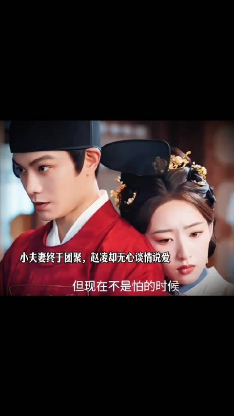 小夫妻终于团聚，赵凌却无心谈情说爱 ，只想往上爬，护住庭芸