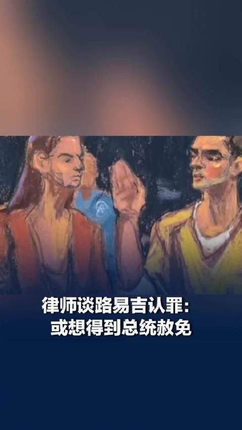 路易吉认罪或为得到总统赦免:认罪对他量刑非常有帮助