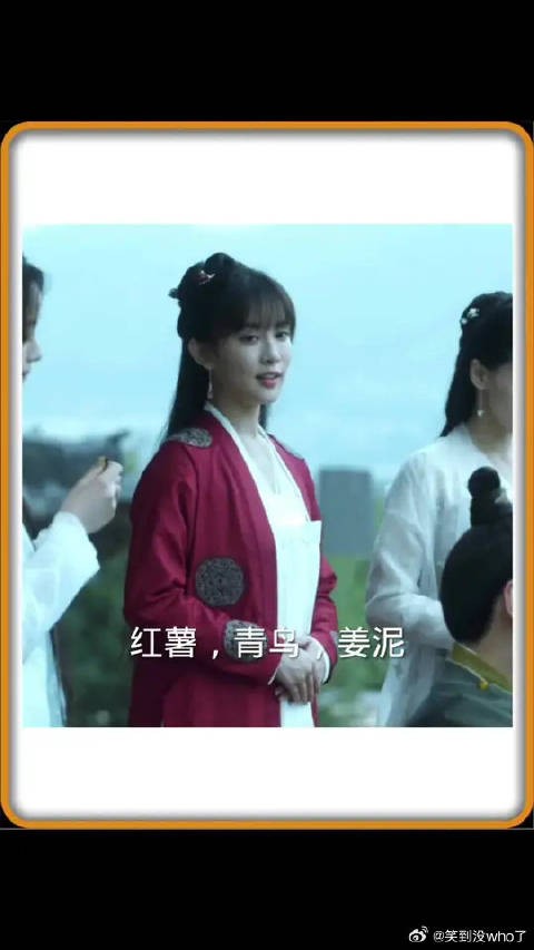 徐凤年身边丫鬟二十几人，红薯，姜泥，青鸟