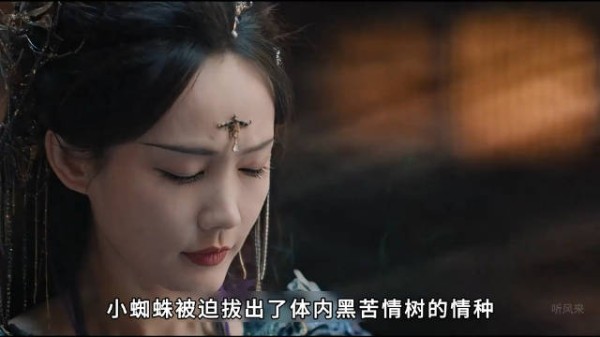 小蜘蛛被迫拔出了体内黑苦情树的情种，却不知这都是黑狐的阴谋
