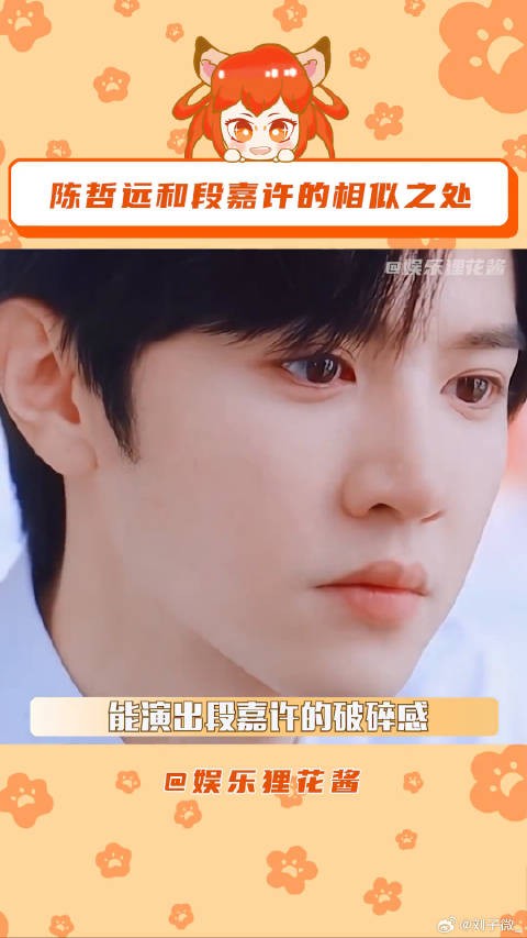 陈哲远 微博VC计划