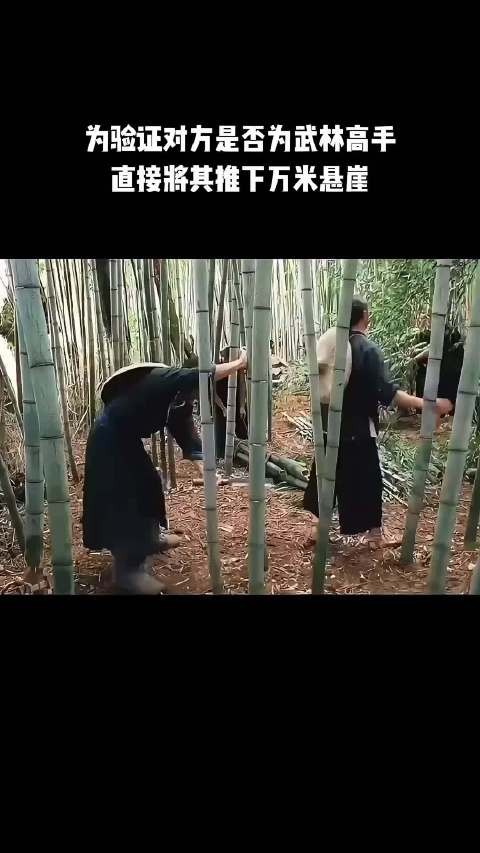 为验证对方是否为武林高手,直接将其推下万米悬崖!