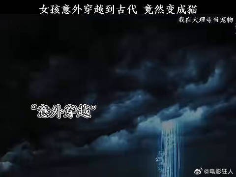 女孩意外穿越到古代竟变成一只猫我在大理寺当宠物