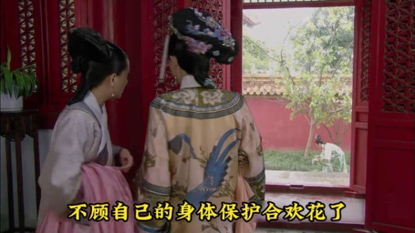 叶澜依发现甄嬛怕猫的弱点 宫里的合欢花已经隐喻了果嬛之恋的结局