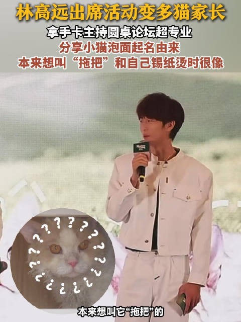 林高远主持圆桌论坛也超专业林高远本来想给小猫取名拖把