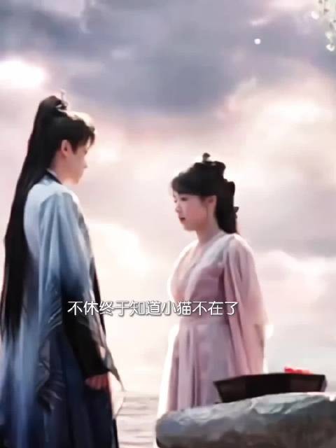 不休得知小猫死讯，唯一朋友离世