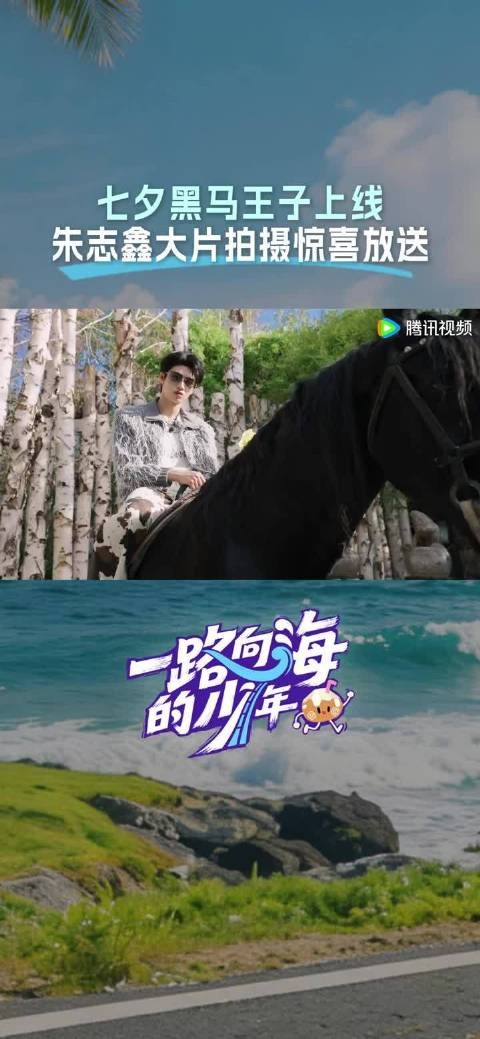 哦莫哦莫不会只有我觉得朱志鑫骑着马像王子来求婚的吧