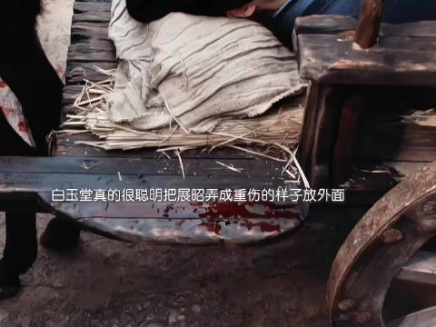 白玉堂伪重伤展昭迫使金家救助
