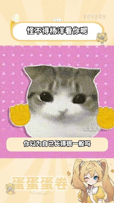 怪不得杨洋看你呢!你以为自己长得很一般吗?