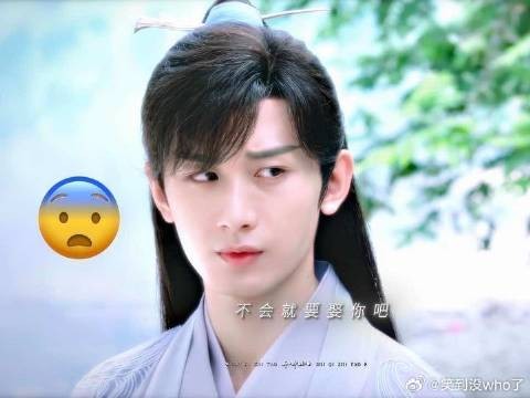 司凤：你这个糟糕的家伙在说什么呢